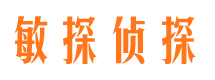 丰泽市私家侦探公司